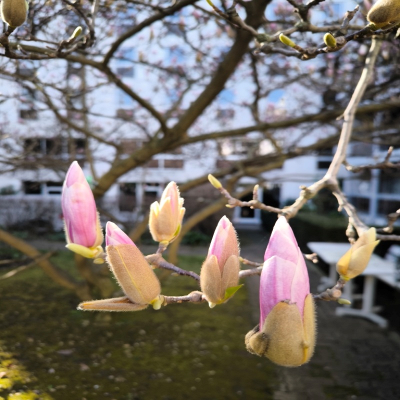 Lire la suite à propos de l’article En route sur Parcoursup !