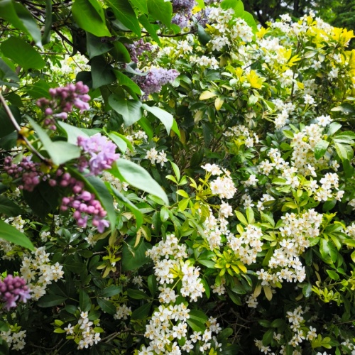 Read more about the article En route sur Parcoursup !